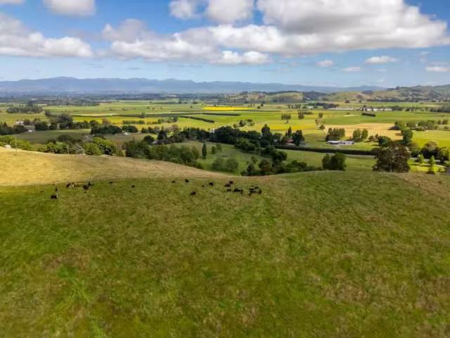 House for sale in Opaki, Wellington