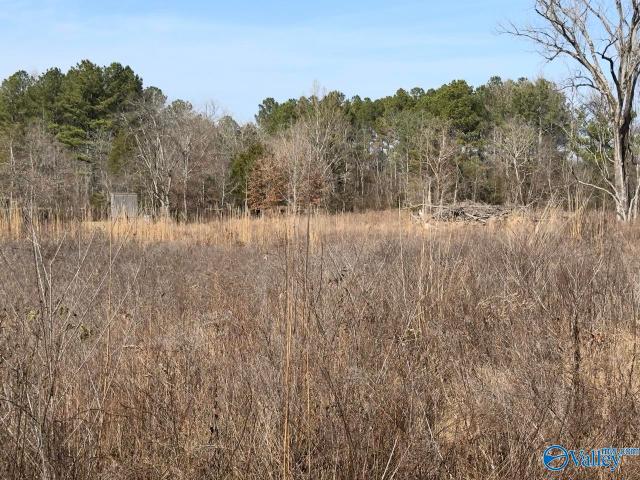Land for sale in Moulton, Alabama