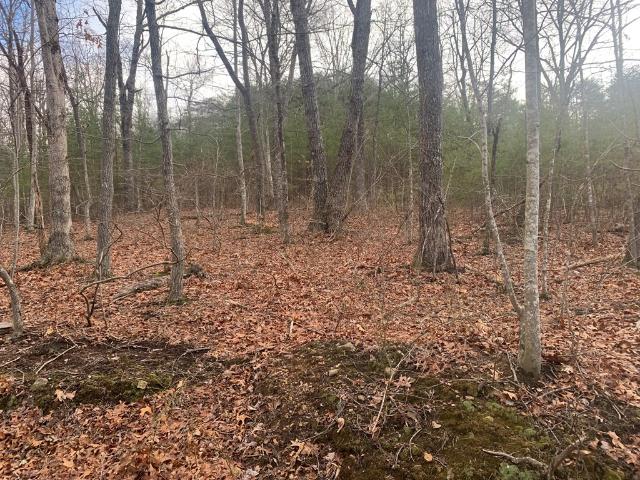 Land for sale in Tennessee