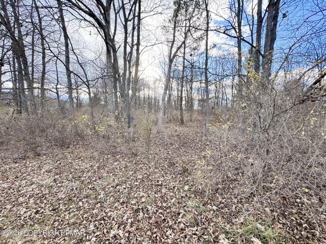 Land for sale in Carbon, Pennsylvania