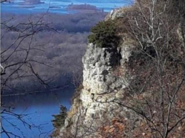 Land for sale in Alma, Wisconsin