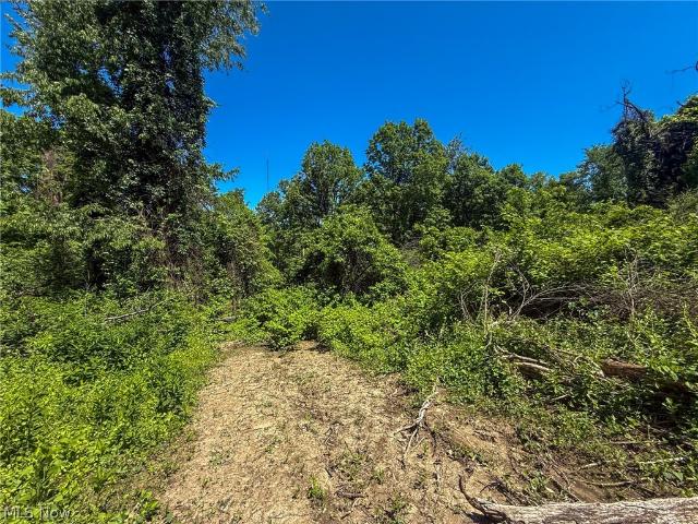 Land for sale in Mingo Junction, Ohio