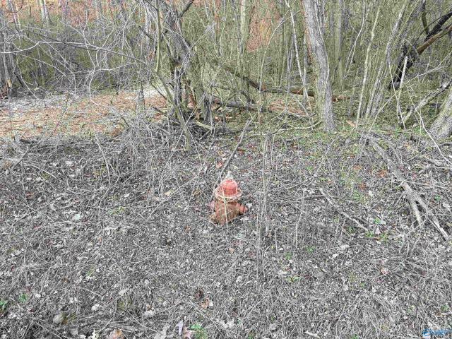 Land for sale in Scottsboro, Alabama