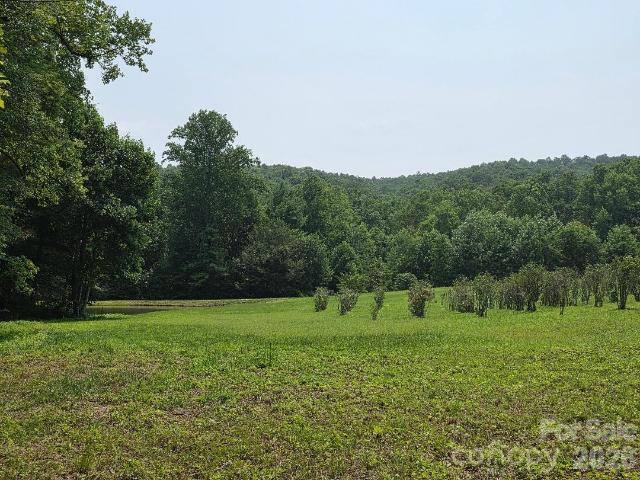 Land for sale in Spruce Pine, North Carolina