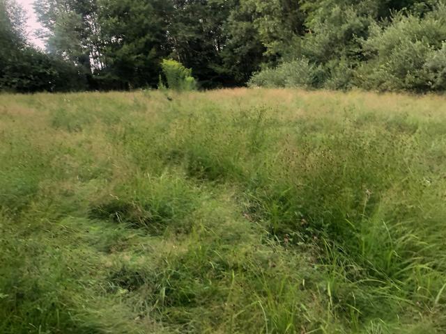 Property for sale in New Hampshire