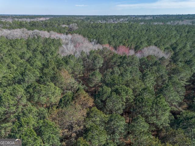 Land for sale in Dodge, Georgia