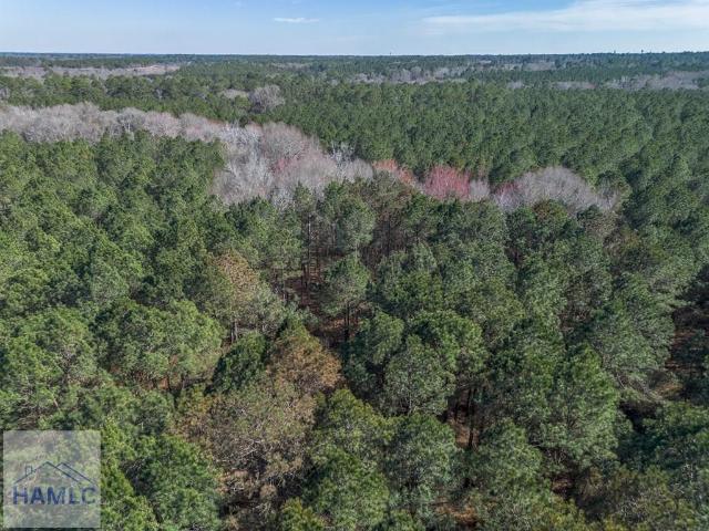 Land for sale in Dodge, Georgia