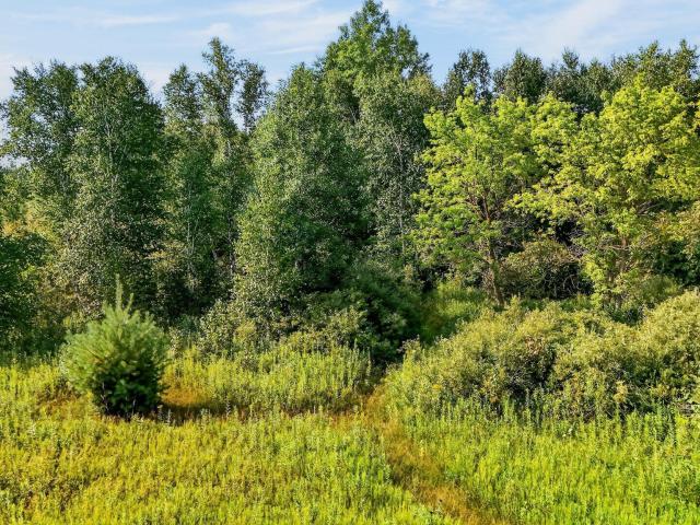 Land for sale in Mission Creek Township, Pine County