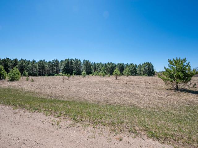 Land for sale in Wadena, Minnesota