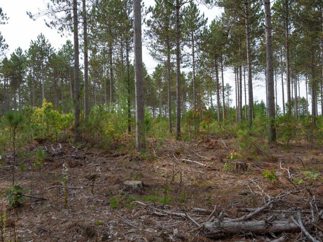Land for sale in Wisconsin
