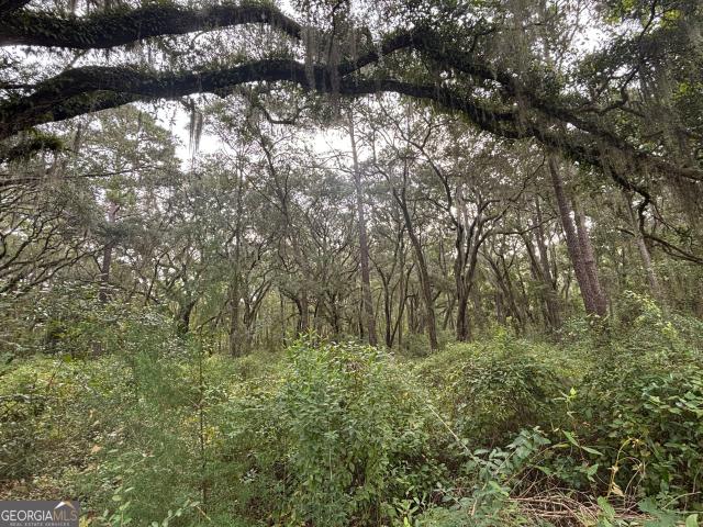 Land for sale in Carnigan, Darien
