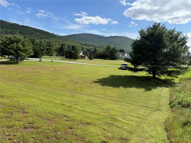 Land for sale in Town of Roxbury, Delaware County