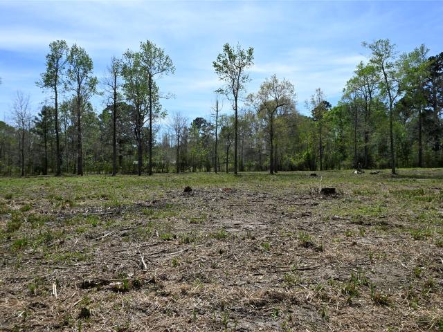Land for sale in Liberty, Texas
