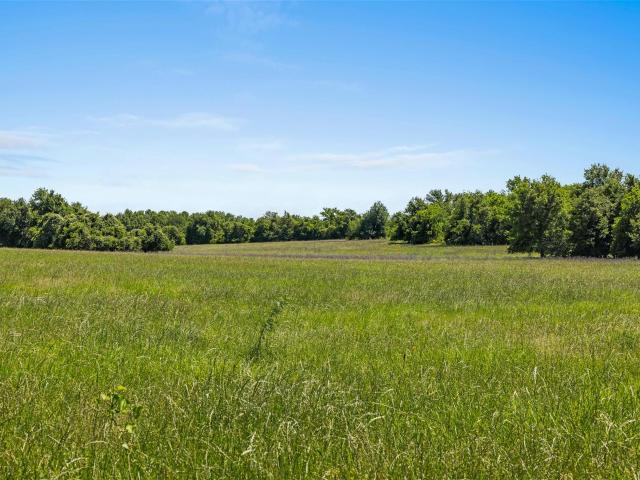 Land for sale in Milam, Texas