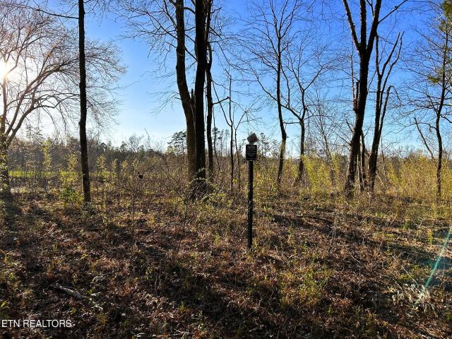 Land for sale in Tennessee