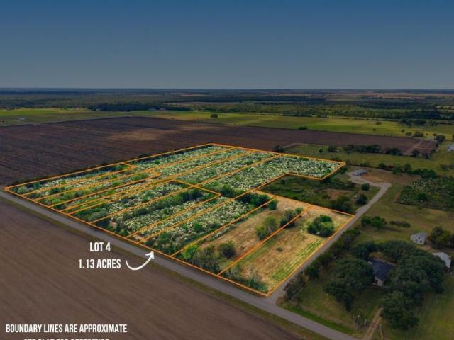 Land for sale in Damon, Texas