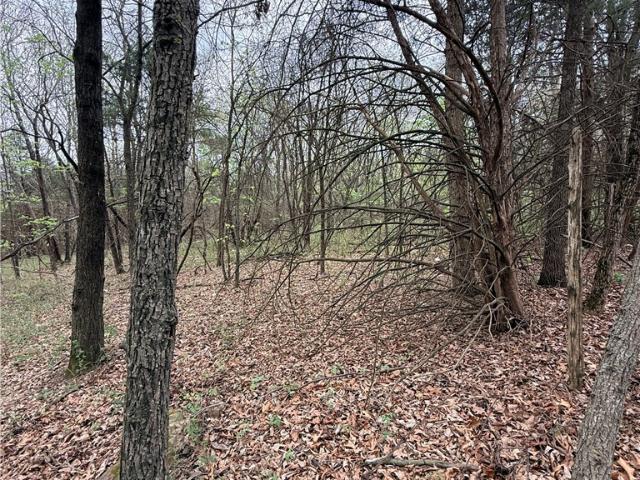 Land for sale in Green Forest, Carroll County
