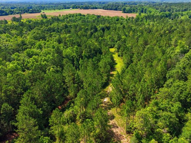Land for sale in Opp, Covington County