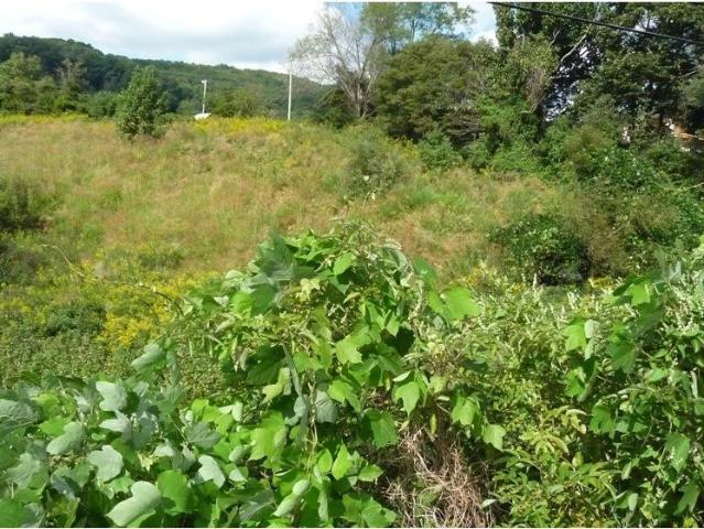 Land for sale in Virginia