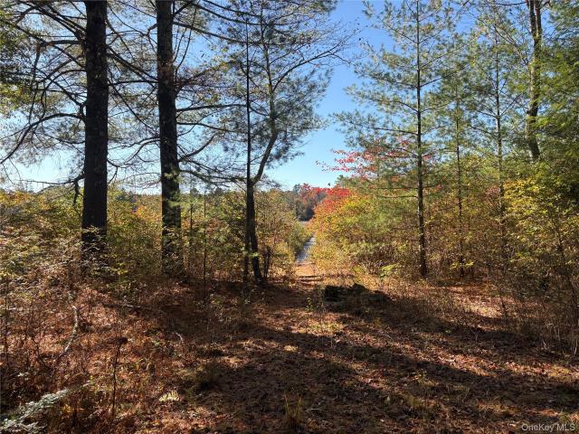 Land for sale in Bethel, New York