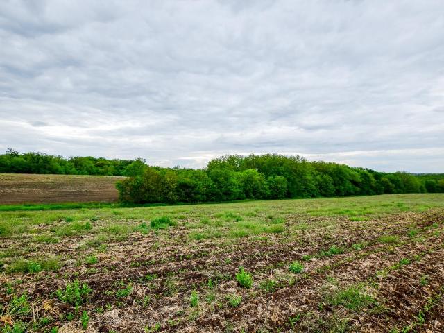 Land for sale in Wisconsin