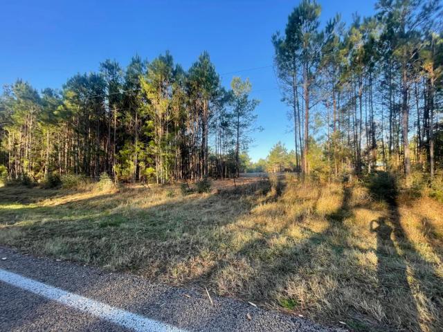 Land for sale in Polk, Texas