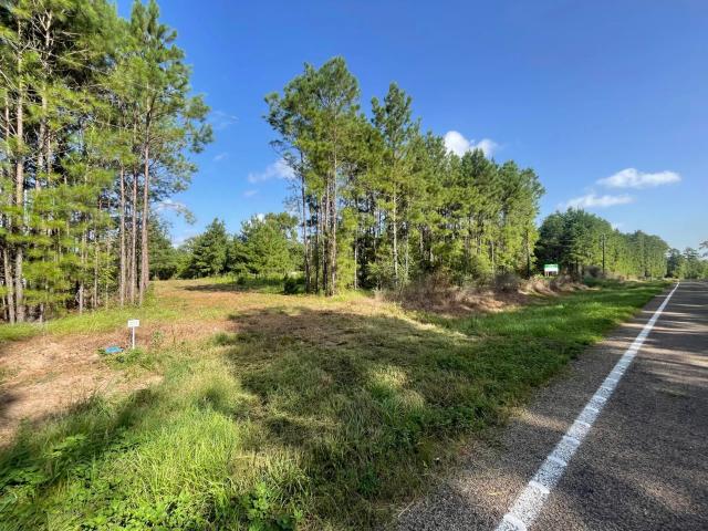 Land for sale in Polk, Texas