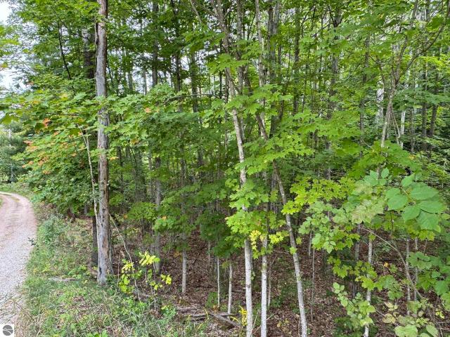 Land for sale in Michigan