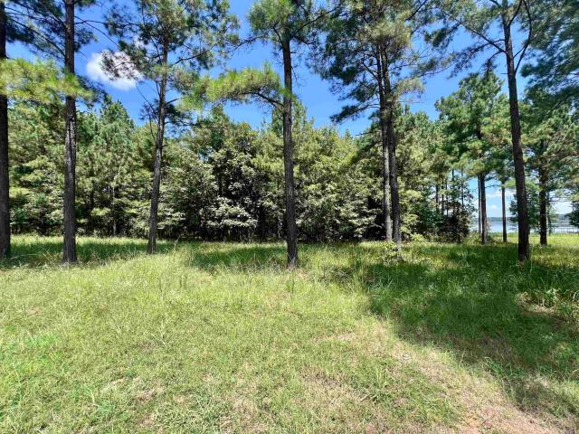 Land for sale in Ark