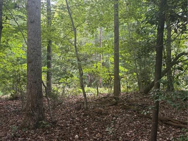 Land for sale in Wilkesboro, North Carolina