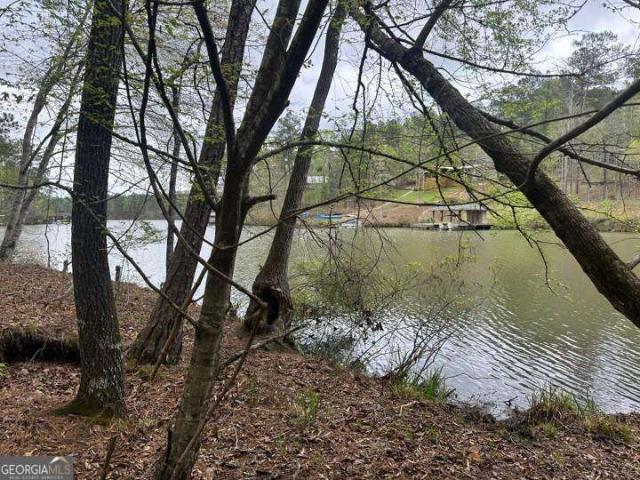 Land for sale in Sparta, Georgia