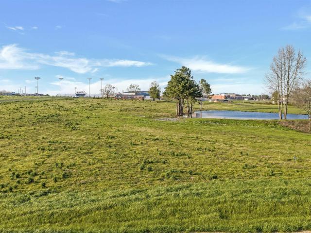 Land for sale in Rainsville, Alabama