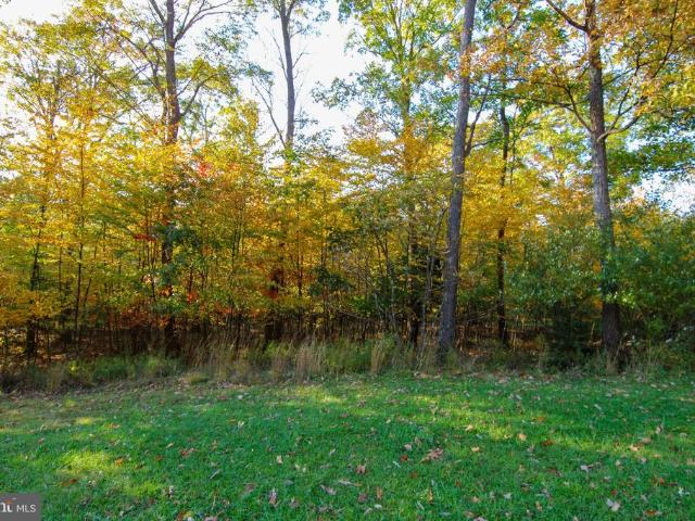 Land for sale in McHenry, Garrett County