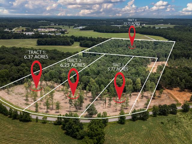 Land for sale in Roopville, Georgia