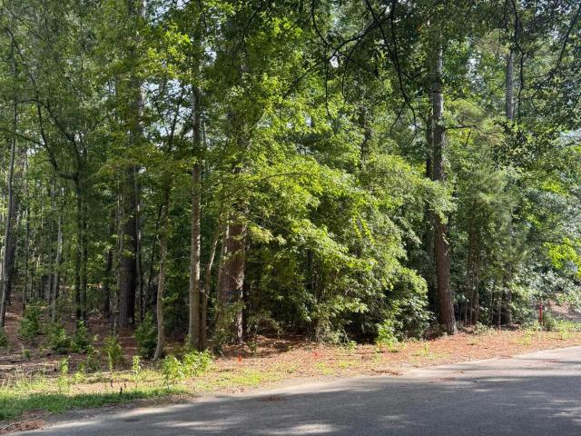 Land for sale in Johnston, South Carolina