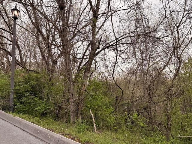 Land for sale in Tennessee