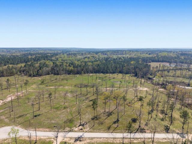 Land for sale in Polk, Texas