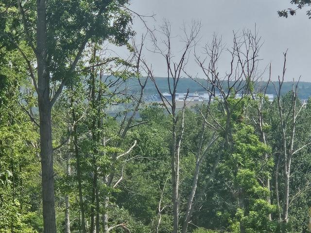 Land for sale in Archbald, Pennsylvania