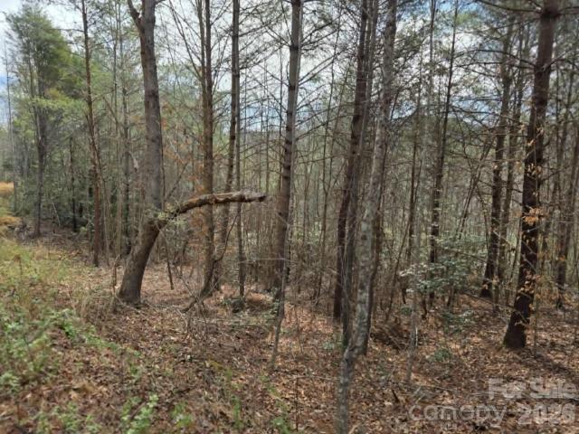 Land for sale in Old Fort, North Carolina