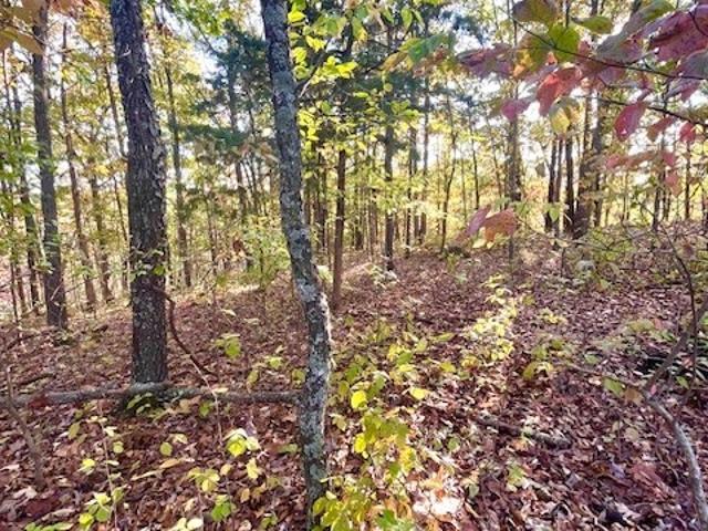 Property for sale in Barnett, Missouri