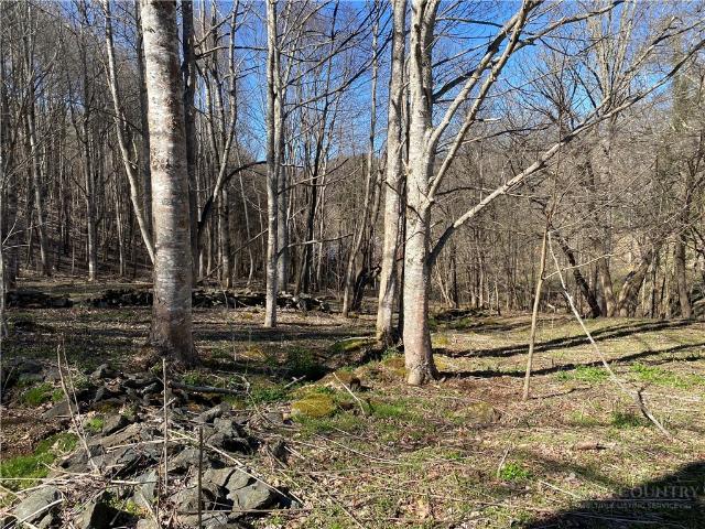 Land for sale in Watauga, North Carolina