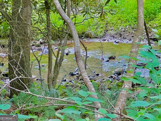 Land for sale in Blairsville, Georgia