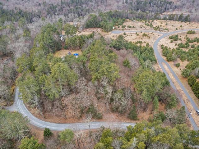 Land for sale in Fallsburg, New York