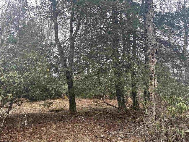 Land for sale in Davis, West Virginia