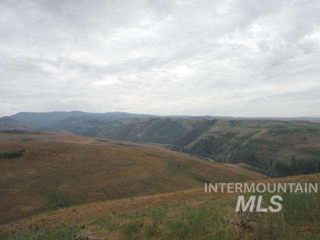 Land for sale in Council, Idaho