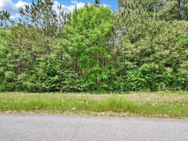 Land for sale in Falkville, Alabama