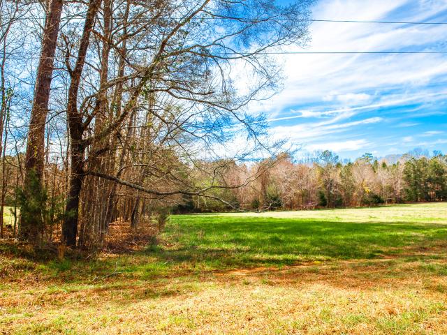 Land for sale in Appling, Georgia