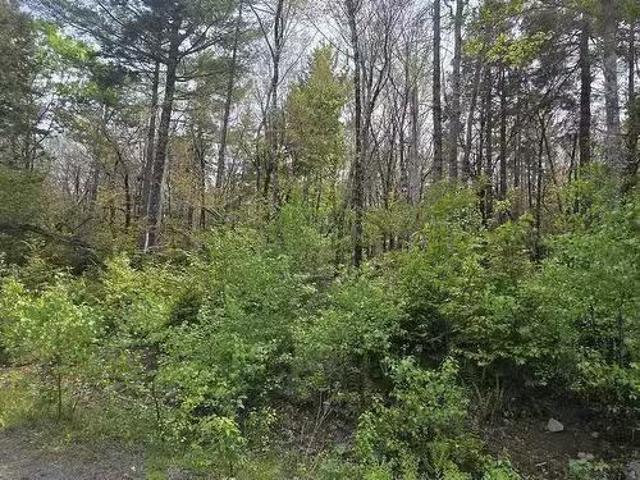 House for sale in Camperdown, Nova Scotia