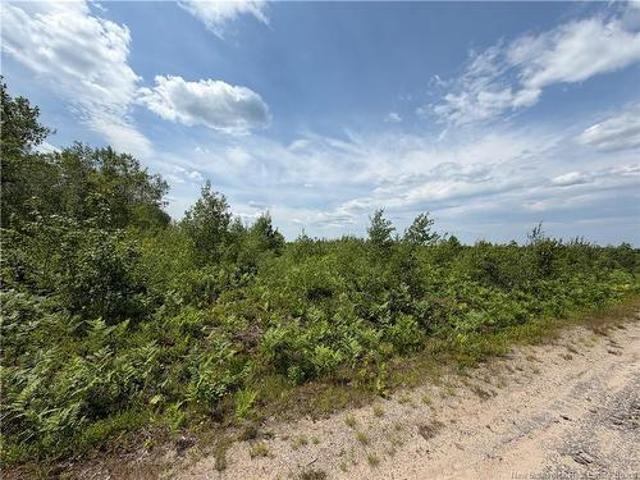 Land for sale in Miramichi, New Brunswick
