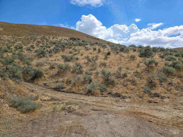 Land for sale in Weiser, Washington County